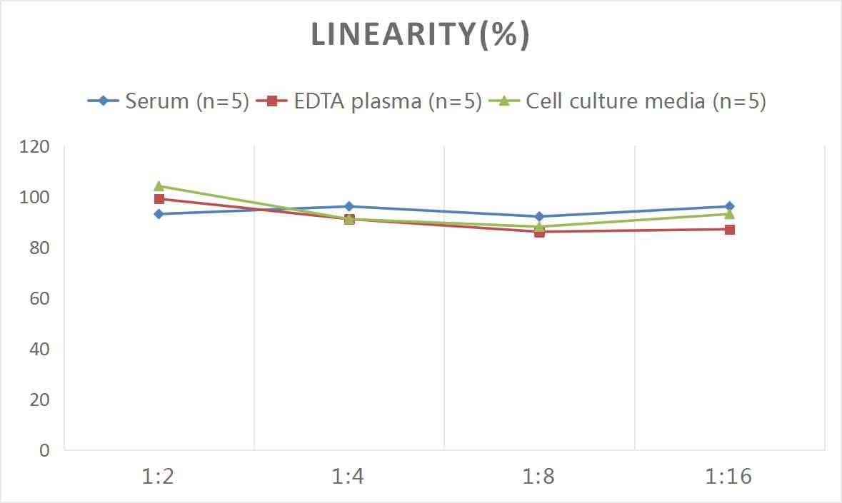 ELISA: Human Adenosine Deaminase 2/CECR1 ELISA Kit (Colorimetric) [NBP2-75221] - Samples were spiked with high concentrations of Human Adenosine Deaminase 2/CECR1 and diluted with Reference Standard & Sample Diluent to produce samples with values within the range of the assay.