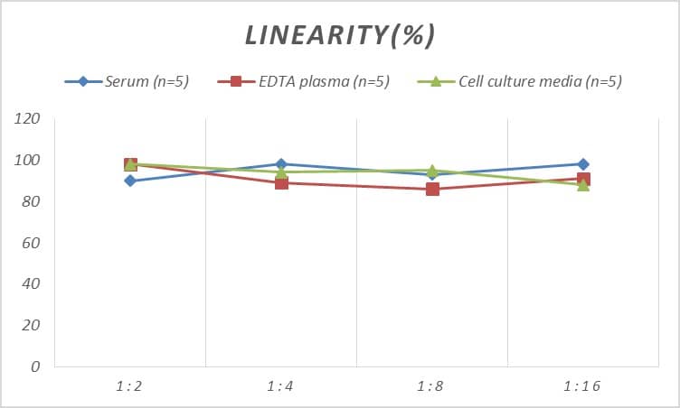 ELISA: Rat CENPI ELISA Kit (Colorimetric) [NBP2-75222] - Samples were spiked with high concentrations of Rat CENPI and diluted with Reference Standard & Sample Diluent to produce samples with values within the range of the assay.