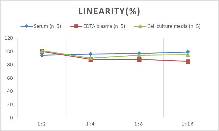 ELISA: Human CENPI ELISA Kit (Colorimetric) [NBP2-75234] - Samples were spiked with high concentrations of Human CENPI and diluted with Reference Standard & Sample Diluent to produce samples with values within the range of the assay.