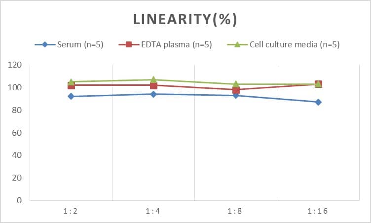 ELISA: Rabbit CETP ELISA Kit (Colorimetric) [NBP2-75242] - Samples were spiked with high concentrations of Rabbit CETP and diluted with Reference Standard & Sample Diluent to produce samples with values within the range of the assay.