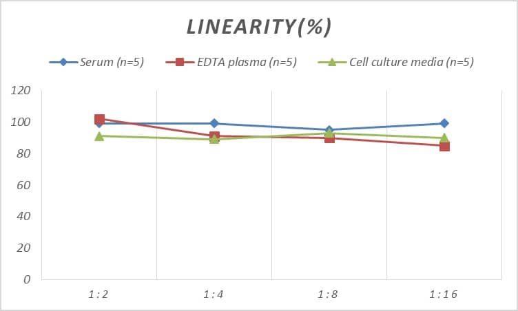 ELISA: Rat Complement Factor D/Adipsin ELISA Kit (Colorimetric) [NBP2-75245] - Samples were spiked with high concentrations of Rat Complement Factor D/Adipsin and diluted with Reference Standard & Sample Diluent to produce samples with values within the range of the assay.