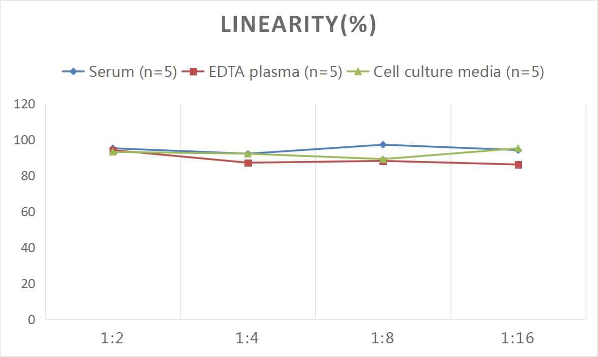 ELISA: Human Complement Factor H-related 1/CFHR1/CFHL1 ELISA Kit (Colorimetric) [NBP2-75246] - Samples were spiked with high concentrations of Human Complement Factor H-related 1/CFHR1/CFHL1 and diluted with Reference Standard & Sample Diluent to produce samples with values within the range of the assay.