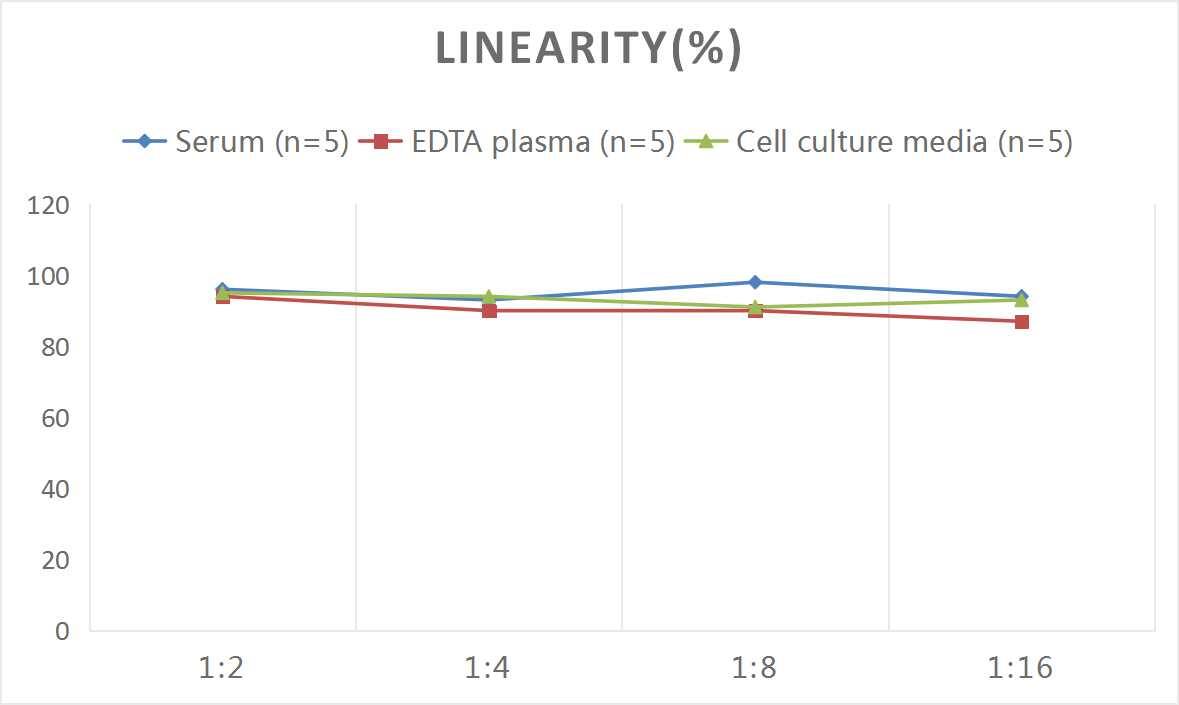 ELISA: Human Complement Factor H-related 4/CFHR4 ELISA Kit (Colorimetric) [NBP2-75249] - Samples were spiked with high concentrations of Human Complement Factor H-related 4/CFHR4 and diluted with Reference Standard & Sample Diluent to produce samples with values within the range of the assay.
