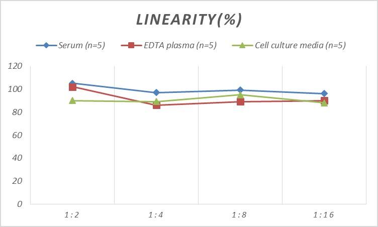 ELISA: Human Cofilin ELISA Kit (Colorimetric) [NBP2-75251] - Samples were spiked with high concentrations of Human Cofilin and diluted with Reference Standard & Sample Diluent to produce samples with values within the range of the assay.