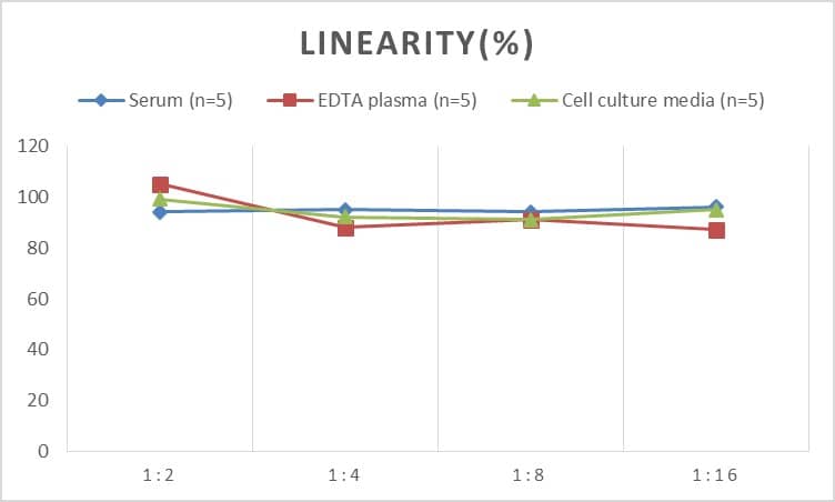 ELISA: Mouse Cofilin ELISA Kit (Colorimetric) [NBP2-75252] - Samples were spiked with high concentrations of Mouse Cofilin and diluted with Reference Standard & Sample Diluent to produce samples with values within the range of the assay.