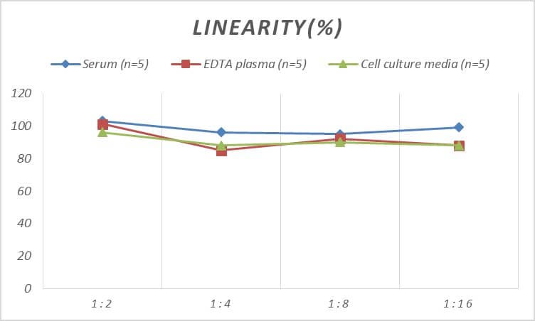 ELISA: Rat Cofilin ELISA Kit (Colorimetric) [NBP2-75253] - Samples were spiked with high concentrations of Rat Cofilin and diluted with Reference Standard & Sample Diluent to produce samples with values within the range of the assay.