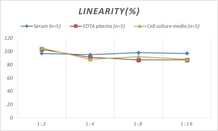 ELISA Human Cofilin 2 ELISA Kit (Colorimetric)