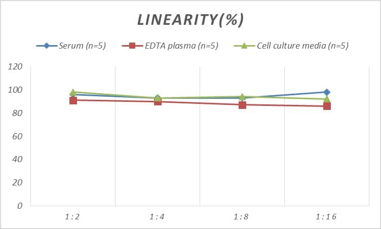 ELISA Rat Cofilin 2 ELISA Kit (Colorimetric)