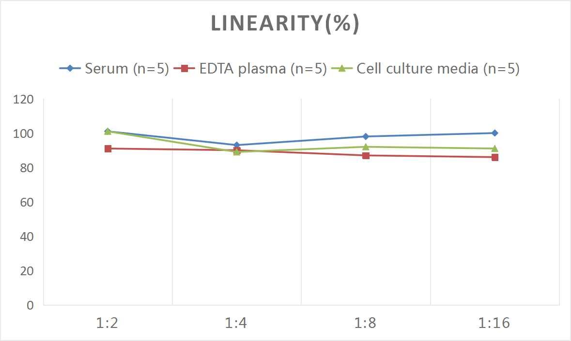 ELISA Monkey Chorionic Gonadotropin beta Chain (hCG beta) ELISA Kit (Colorimetric)