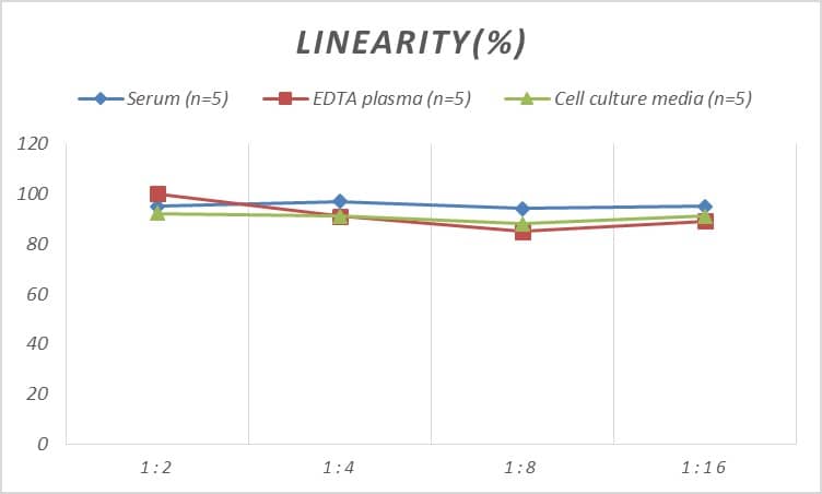 ELISA: Mouse CHD3 ELISA Kit (Colorimetric) [NBP2-75267] - Samples were spiked with high concentrations of Mouse CHD3 and diluted with Reference Standard & Sample Diluent to produce samples with values within the range of the assay.