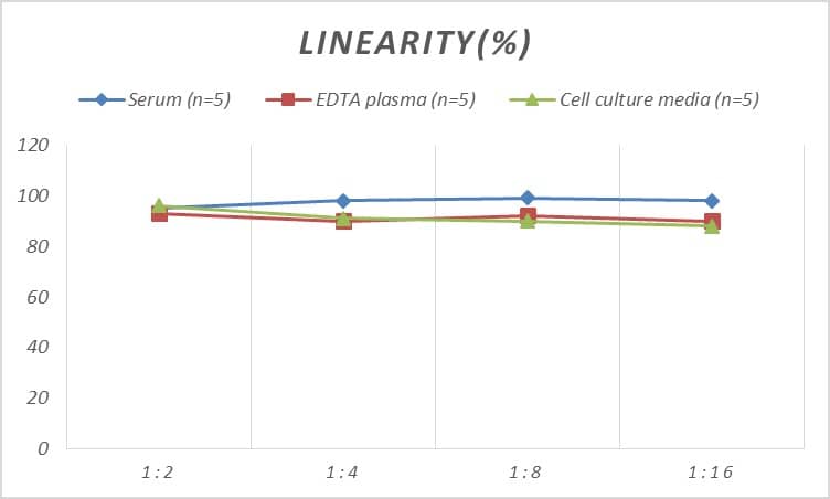 ELISA: Rat CHD3 ELISA Kit (Colorimetric) [NBP2-75268] - Samples were spiked with high concentrations of Rat CHD3 and diluted with Reference Standard & Sample Diluent to produce samples with values within the range of the assay.