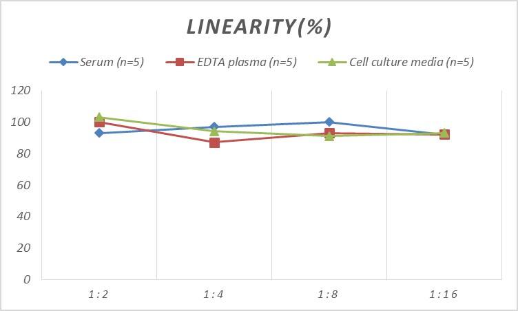 ELISA: Human CHD5 ELISA Kit (Colorimetric) [NBP2-75269] - Samples were spiked with high concentrations of Human CHD5 and diluted with Reference Standard & Sample Diluent to produce samples with values within the range of the assay.