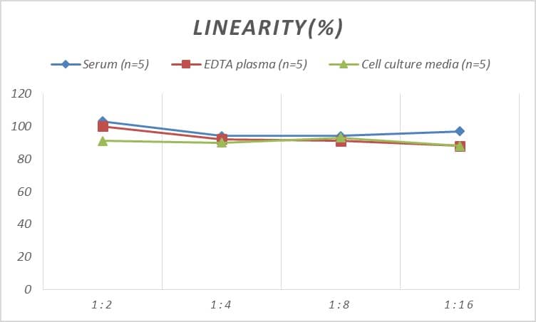 ELISA: Rat CHD5 ELISA Kit (Colorimetric) [NBP2-75271] - Samples were spiked with high concentrations of Rat CHD5 and diluted with Reference Standard & Sample Diluent to produce samples with values within the range of the assay.