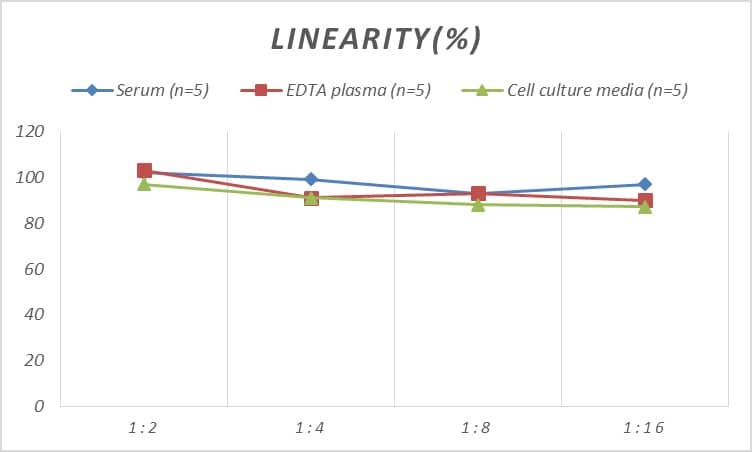 ELISA: Rat Chemerin ELISA Kit (Colorimetric) [NBP2-75272] - Samples were spiked with high concentrations of Rat Chemerin and diluted with Reference Standard & Sample Diluent to produce samples with values within the range of the assay.