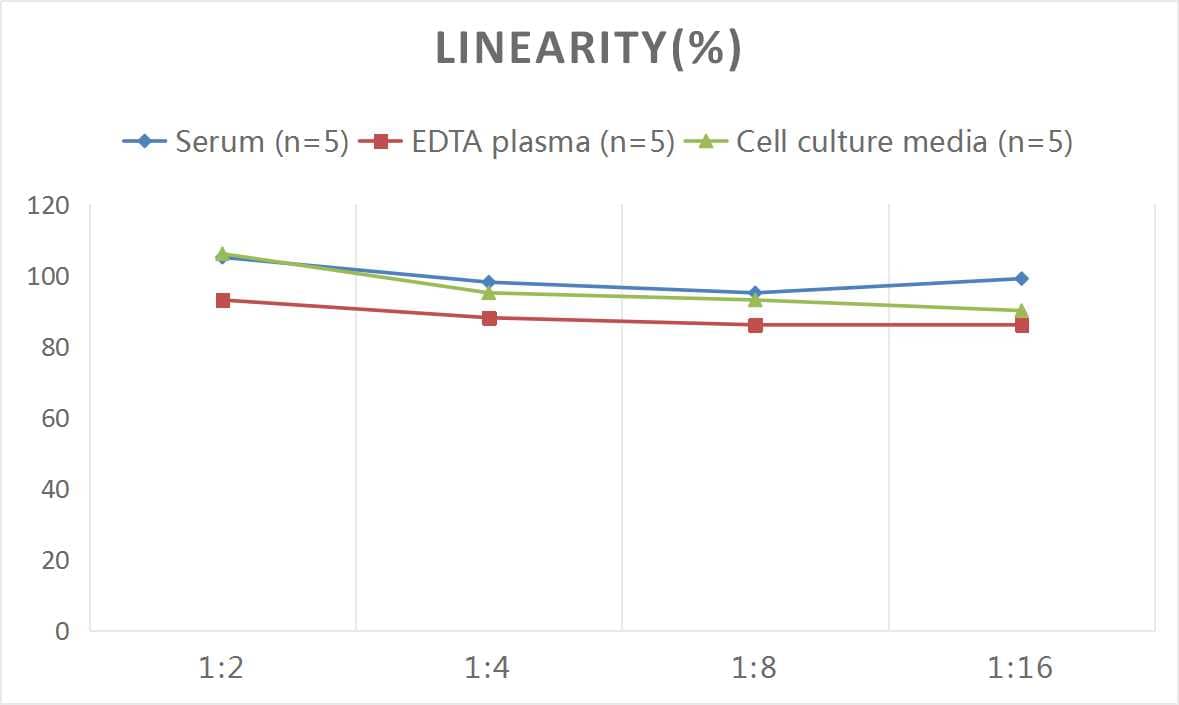 ELISA: Mouse Muscarinic Acetylcholine Receptor M1/CHRM1 ELISA Kit (Colorimetric) [NBP2-75275] - Samples were spiked with high concentrations of Mouse Muscarinic Acetylcholine Receptor M1/CHRM1 and diluted with Reference Standard & Sample Diluent to produce samples with values within the range of the assay.