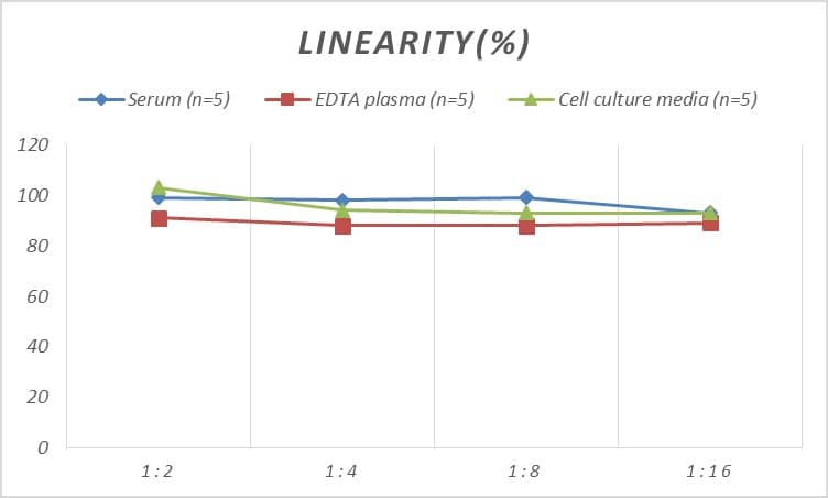 ELISA: Rat Muscarinic Acetylcholine Receptor M2/CHRM2 ELISA Kit (Colorimetric) [NBP2-75278] - Samples were spiked with high concentrations of Rat Muscarinic Acetylcholine Receptor M2/CHRM2 and diluted with Reference Standard & Sample Diluent to produce samples with values within the range of the assay.