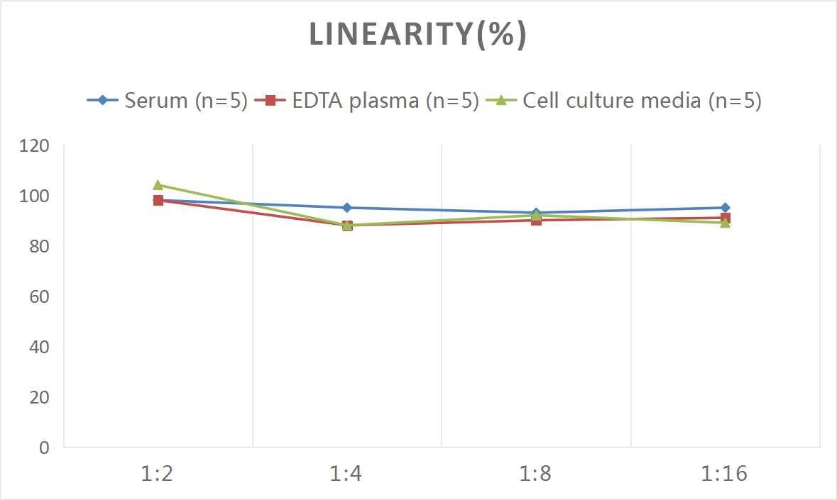 ELISA: Human Cytokeratin 19 ELISA Kit (Colorimetric) [NBP2-75286] - Samples were spiked with high concentrations of Human Cytokeratin 19 and diluted with Reference Standard & Sample Diluent to produce samples with values within the range of the assay.