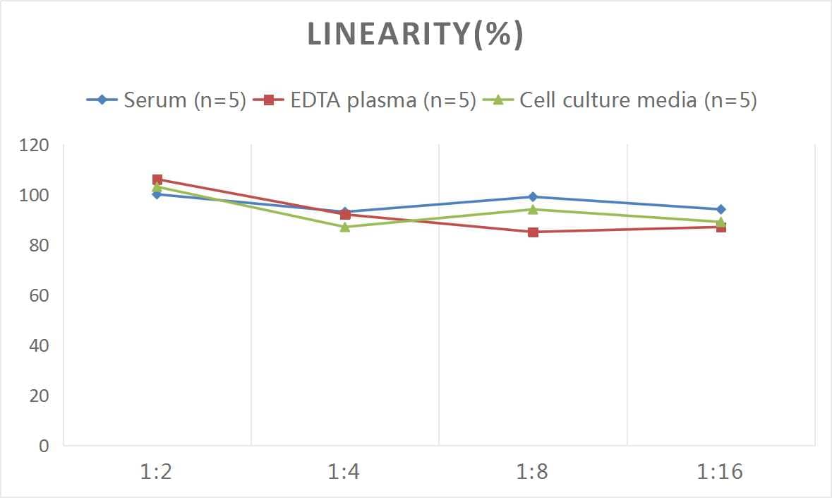 ELISA: Human Creatine Kinase BB ELISA Kit (Colorimetric) [NBP2-75288] - Samples were spiked with high concentrations of Human Creatine Kinase BB and diluted with Reference Standard & Sample Diluent to produce samples with values within the range of the assay.