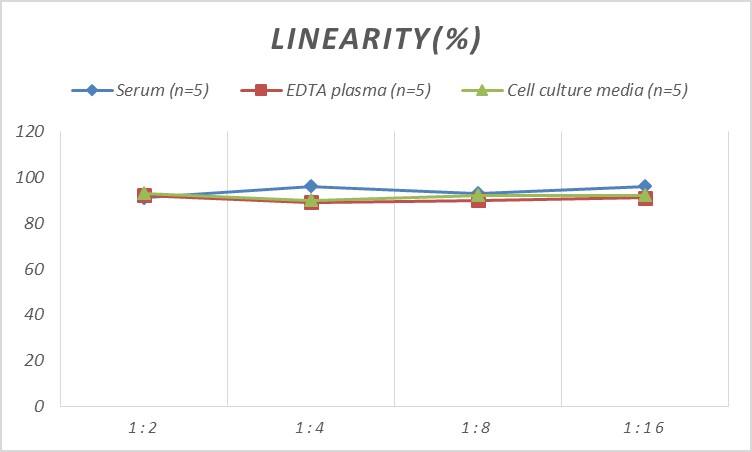 ELISA: Rat Chemokine-like factor ELISA Kit (Colorimetric) [NBP2-75291] - Samples were spiked with high concentrations of Rat Chemokine-like factor and diluted with Reference Standard & Sample Diluent to produce samples with values within the range of the assay.