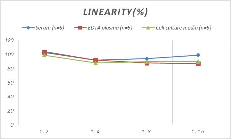 ELISA: Rat CMTM5 ELISA Kit (Colorimetric) [NBP2-75297] - Samples were spiked with high concentrations of Rat CMTM5 and diluted with Reference Standard & Sample Diluent to produce samples with values within the range of the assay.