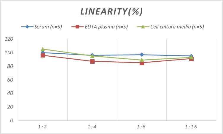 ELISA: Human CMTM6 ELISA Kit (Colorimetric) [NBP2-75298] - Samples were spiked with high concentrations of Human CMTM6 and diluted with Reference Standard & Sample Diluent to produce samples with values within the range of the assay.