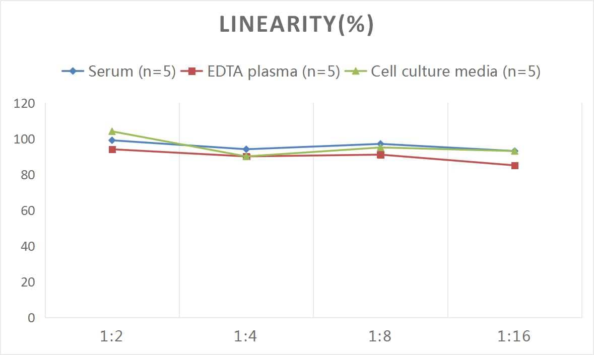 ELISA: Mouse Creatine Kinase, Muscle/CKMM ELISA Kit (Colorimetric) [NBP2-75306] - Samples were spiked with high concentrations of Mouse Creatine Kinase, Muscle/CKMM and diluted with Reference Standard & Sample Diluent to produce samples with values within the range of the assay.