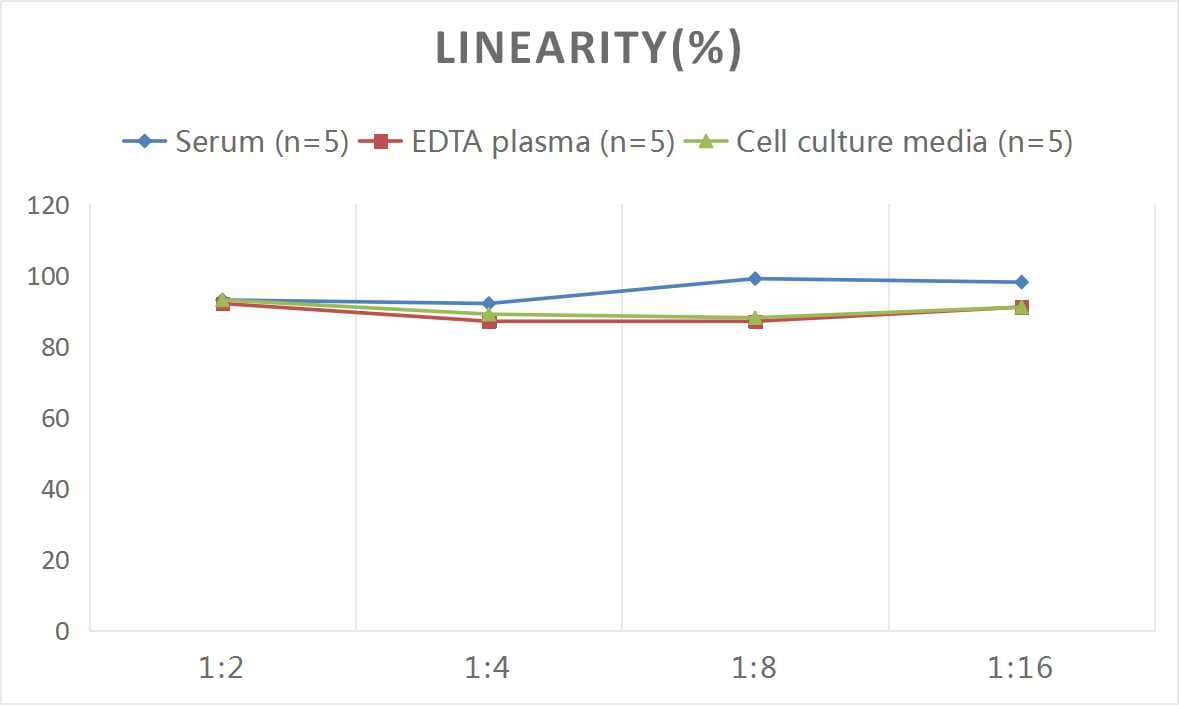 ELISA: Rat Creatine Kinase, Muscle/CKMM ELISA Kit (Colorimetric) [NBP2-75308] - Samples were spiked with high concentrations of Rat Creatine Kinase, Muscle/CKMM and diluted with Reference Standard & Sample Diluent to produce samples with values within the range of the assay.