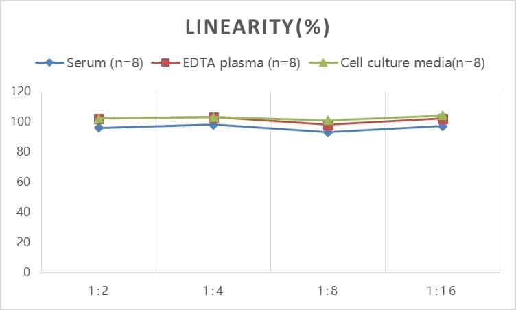 ELISA: Rabbit Creatine Kinase MB ELISA Kit (Colorimetric) [NBP2-75310] - Samples were spiked with high concentrations of Rabbit Creatine Kinase MB and diluted with Reference Standard & Sample Diluent to produce samples with values within the range of the assay.