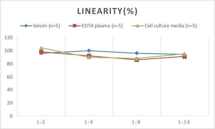 ELISA Human Creatine kinase MT 1A ELISA Kit (Colorimetric)