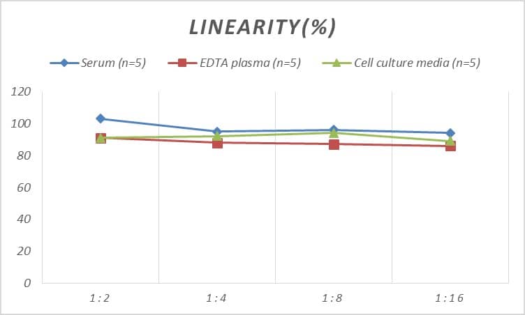 ELISA Mouse Creatine kinase MT 1A ELISA Kit (Colorimetric)