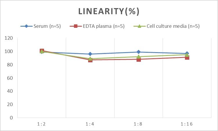 ELISA Mouse Creatine kinase MT 1B ELISA Kit (Colorimetric)