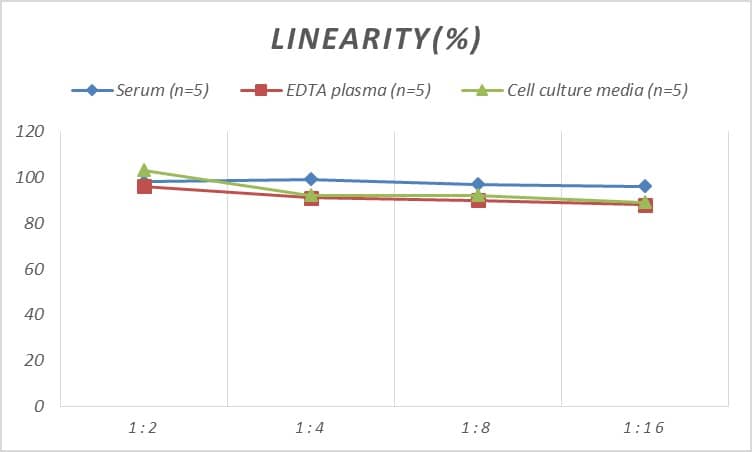 ELISA Rat Creatine kinase MT 1B ELISA Kit (Colorimetric)