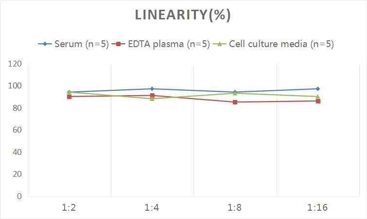 ELISA: Human Galectin-10 ELISA Kit (Colorimetric) [NBP2-75319] - Samples were spiked with high concentrations of Human Galectin-10 and diluted with Reference Standard & Sample Diluent to produce samples with values within the range of the assay.