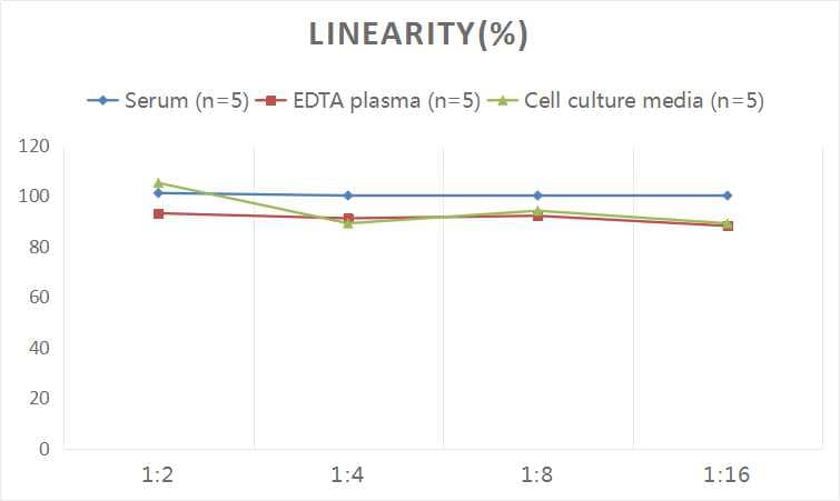 ELISA: Human Claudin-5 ELISA Kit (Colorimetric) [NBP2-75332] - Samples were spiked with high concentrations of Human Claudin-5 and diluted with Reference Standard & Sample Diluent to produce samples with values within the range of the assay.