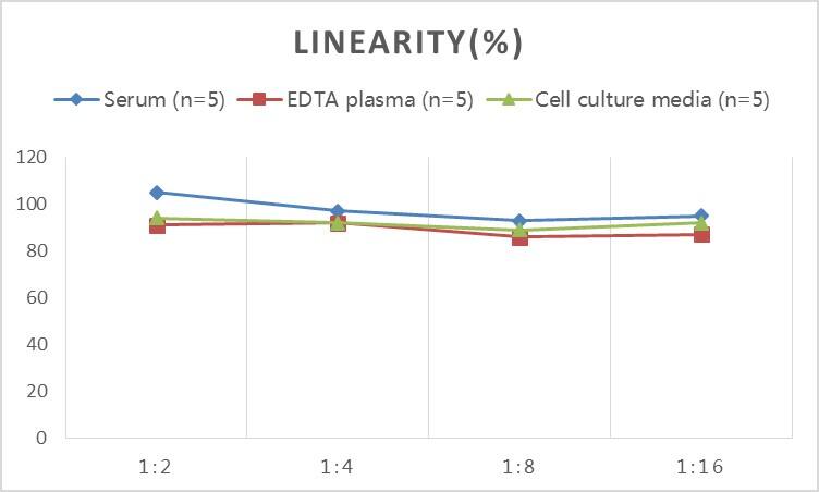 ELISA: Rat Claudin-5 ELISA Kit (Colorimetric) [NBP2-75333] - Samples were spiked with high concentrations of Rat Claudin-5 and diluted with Reference Standard & Sample Diluent to produce samples with values within the range of the assay.