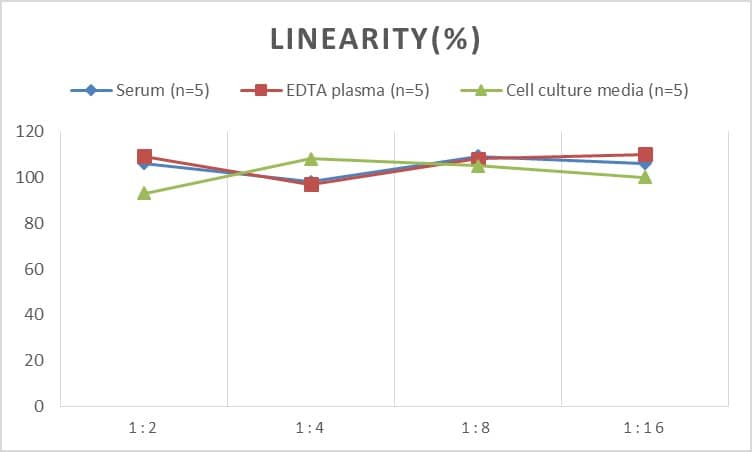 ELISA: Human Tankyrase 1 ELISA Kit (Chemiluminescence) [NBP2-75360] - Samples were spiked with high concentrations of Human Tankyrase 1 and diluted with Reference Standard & Sample Diluent to produce samples with values within the range of the assay.