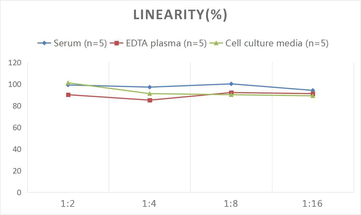 ELISA: Rat LBP ELISA Kit (Colorimetric) [NBP2-75370] - Samples were spiked with high concentrations of Rat LBP and diluted with Reference Standard & Sample Diluent to produce samples with values within the range of the assay.