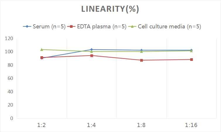 ELISA: Human CXCL12/SDF-1 ELISA Kit (Colorimetric) [NBP2-75375] - Samples were spiked with high concentrations of Human CXCL12/SDF-1 and diluted with Reference Standard & Sample Diluent to produce samples with values within the range of the assay.