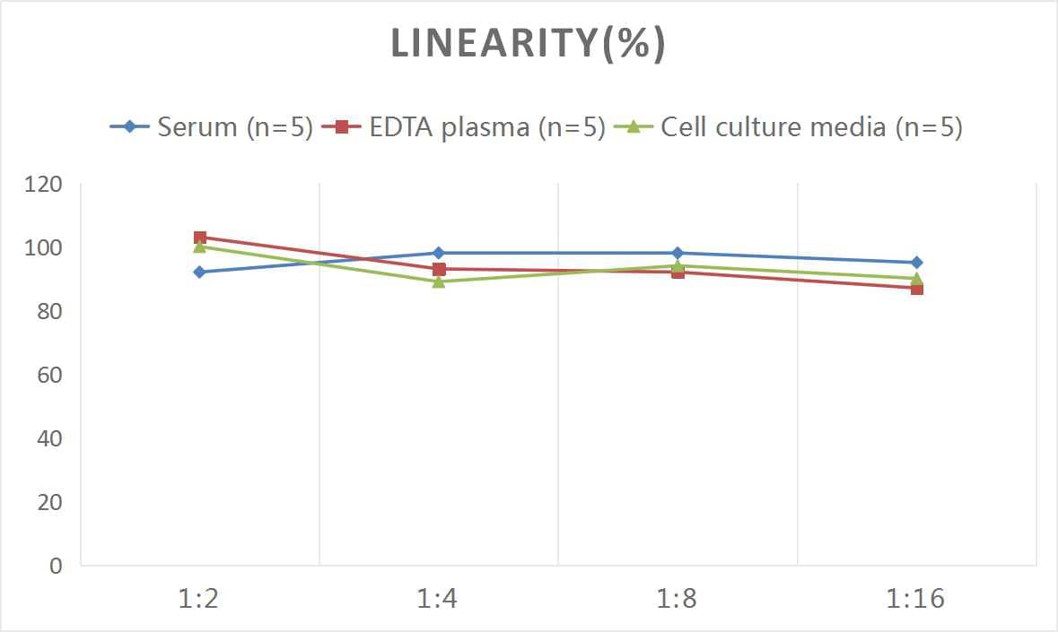 ELISA: Rat IL-6R alpha ELISA Kit (Colorimetric) [NBP2-75389] - Samples were spiked with high concentrations of Rat IL-6R alpha and diluted with Reference Standard & Sample Diluent to produce samples with values within the range of the assay.