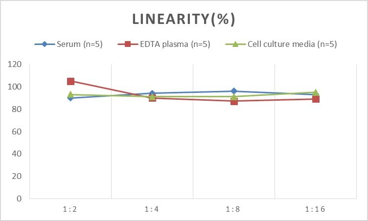 ELISA: Rat Contactin-1 ELISA Kit (Colorimetric) [NBP2-75803] - Samples were spiked with high concentrations of Rat Contactin-1 and diluted with Reference Standard & Sample Diluent to produce samples with values within the range of the assay.