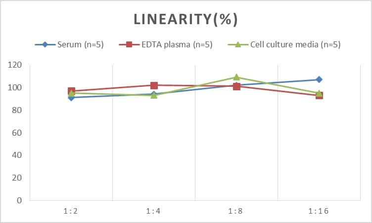 ELISA: Mouse Collagen Type I ELISA Kit (Chemiluminescence) [NBP2-75820] - Samples were spiked with high concentrations of Mouse Collagen Type I and diluted with Reference Standard & Sample Diluent to produce samples with values within the range of the assay.