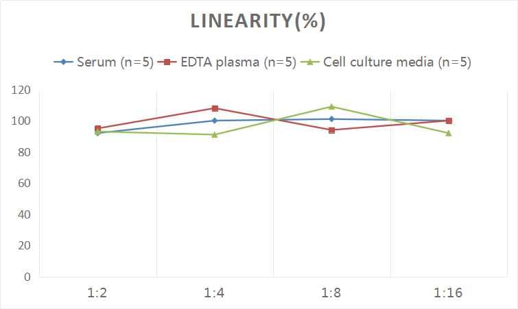 ELISA: Rat Collagen Type I ELISA Kit (Chemiluminescence) [NBP2-75821] - Samples were spiked with high concentrations of Rat Collagen Type I and diluted with Reference Standard & Sample Diluent to produce samples with values within the range of the assay.