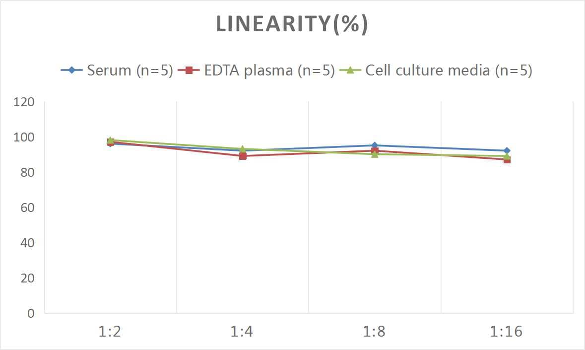 ELISA: Mouse Collagen Type I ELISA Kit (Colorimetric) [NBP2-75822] - Samples were spiked with high concentrations of Mouse Collagen Type I and diluted with Reference Standard & Sample Diluent to produce samples with values within the range of the assay.