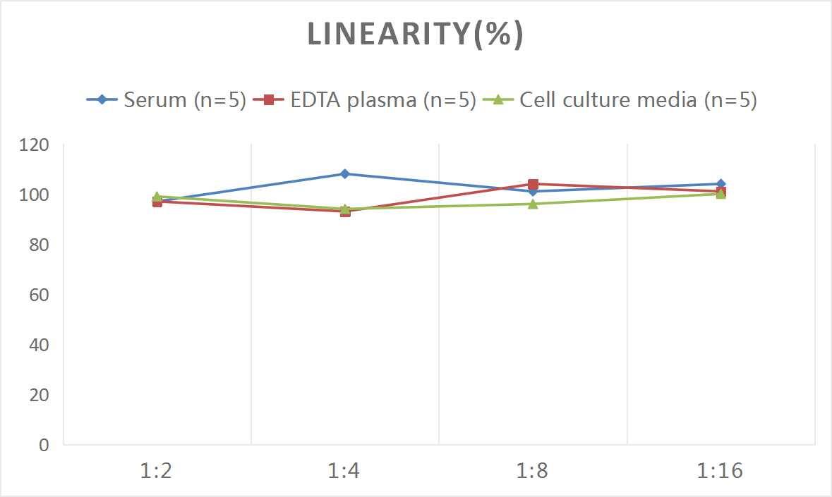ELISA: Human Collagen X ELISA Kit (Chemiluminescence) [NBP2-75824] - Samples were spiked with high concentrations of Human Collagen X and diluted with Reference Standard & Sample Diluent to produce samples with values within the range of the assay.