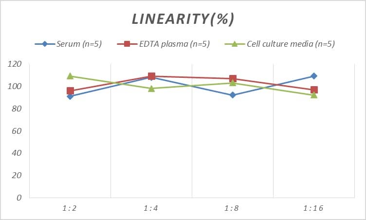 ELISA: Rat Collagen X ELISA Kit (Chemiluminescence) [NBP2-75825] - Samples were spiked with high concentrations of Rat Collagen X and diluted with Reference Standard & Sample Diluent to produce samples with values within the range of the assay.