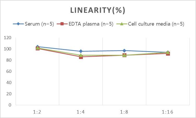 ELISA Mouse Collagen X ELISA Kit (Colorimetric)