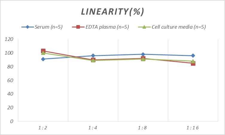 ELISA Rat Collagen X ELISA Kit (Colorimetric)