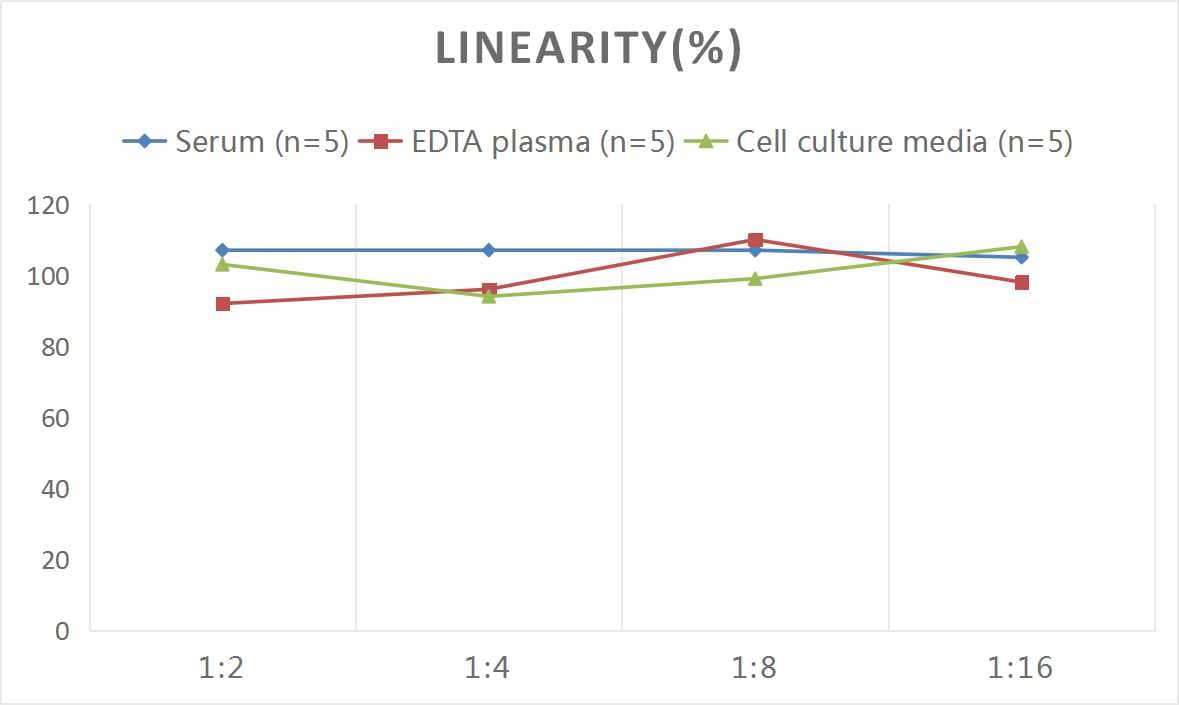 ELISA Human COL14A1 ELISA Kit (Chemiluminescence)