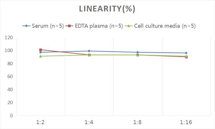 ELISA Human COL14A1 ELISA Kit (Colorimetric)