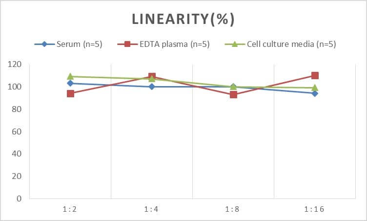 ELISA: Human Collagen IV alpha 1 ELISA Kit (Chemiluminescence) [NBP2-75867] - Samples were spiked with high concentrations of Human Collagen IV alpha 1 and diluted with Reference Standard & Sample Diluent to produce samples with values within the range of the assay.